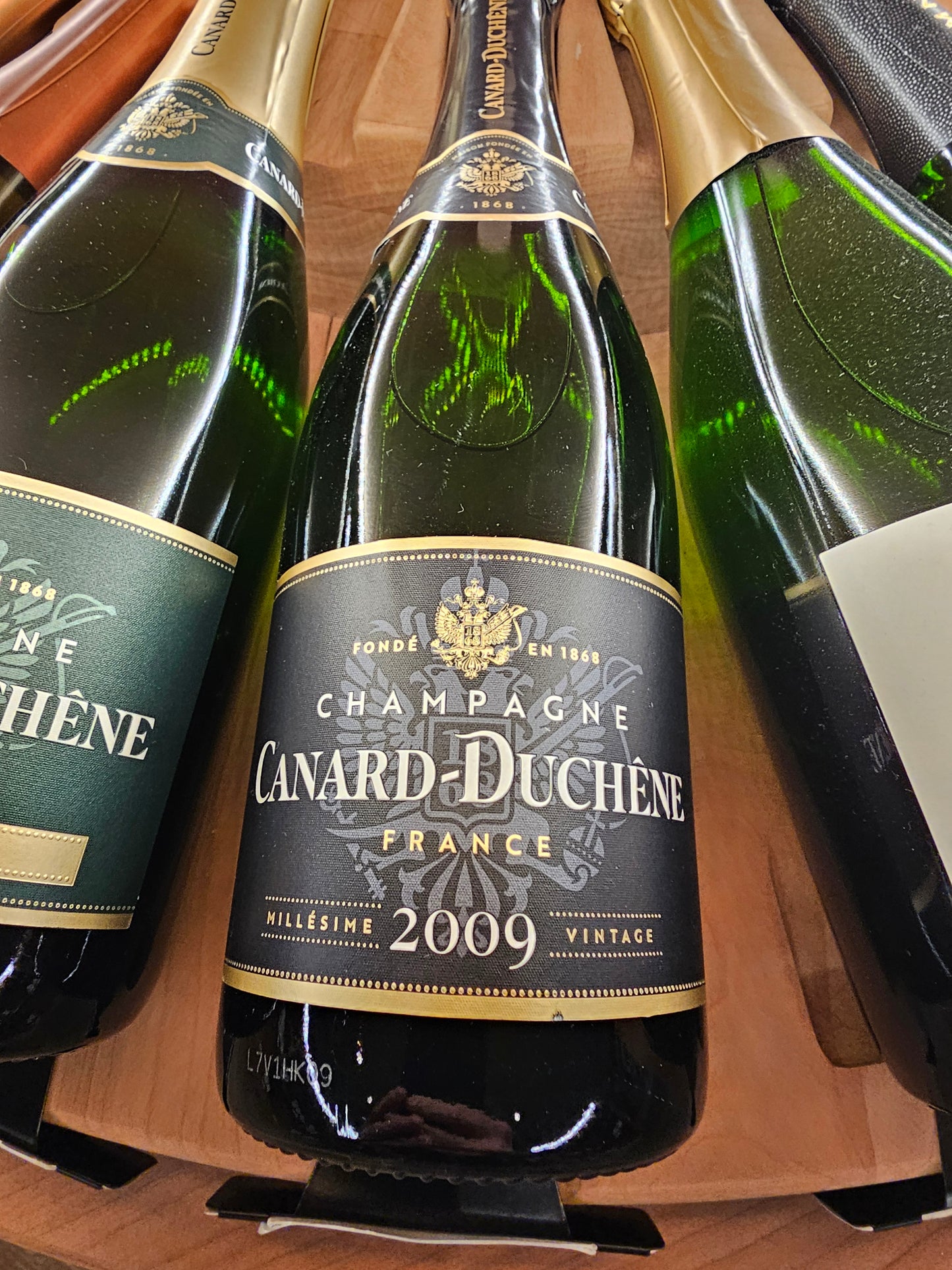 CANARD DUCHENE 2009