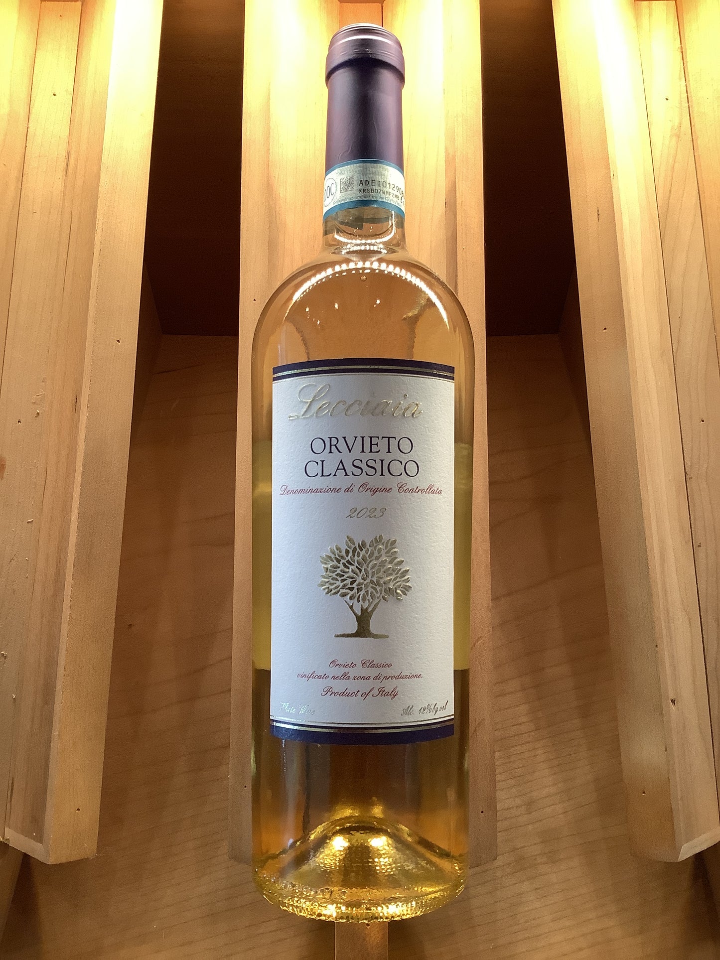 '23 Lecciaia Orvieto Classico