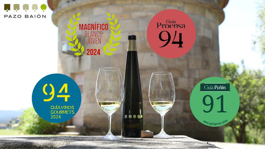 '24 Pazo Baion Albarino