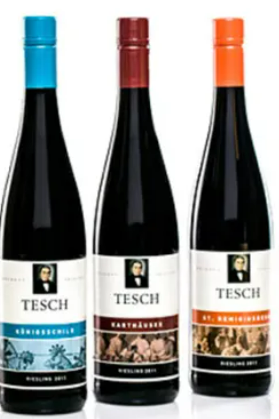 Mixed 6pk of '23 Tesch