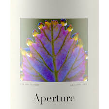 '22 Aperture Chenin Blanc