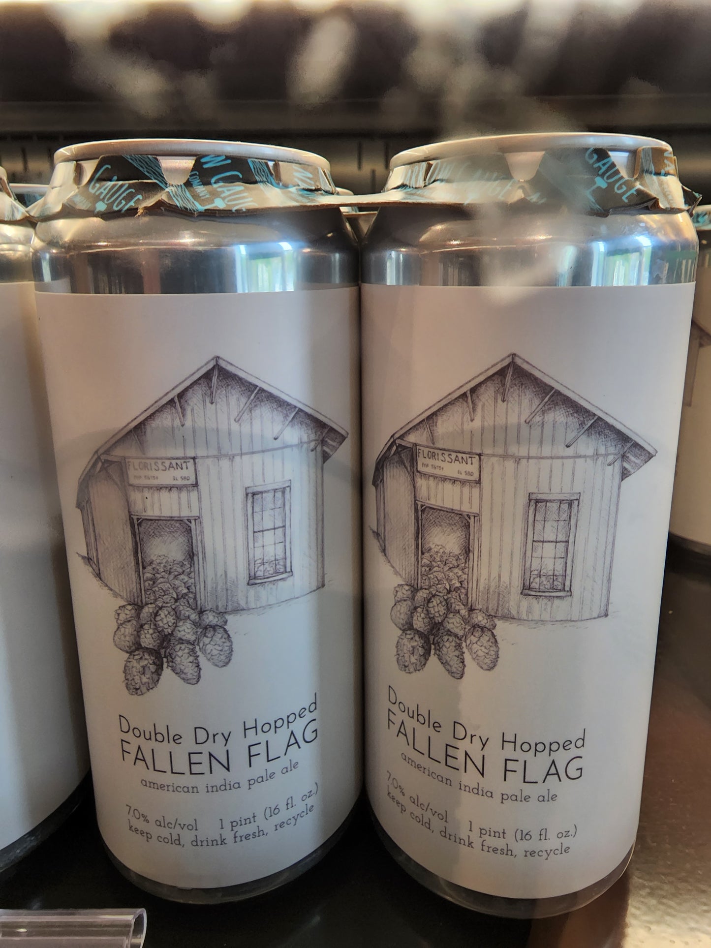 Narrow Gauge Dhh Fallen Flag 4pk cans