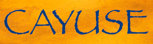 2020 Cayuse En Cerise Syrah