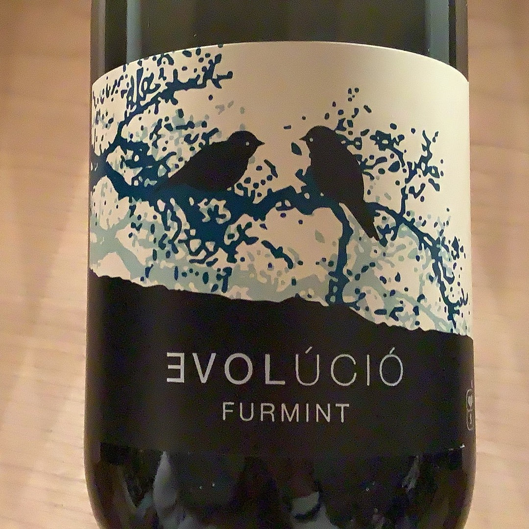 Evolucio Furmint