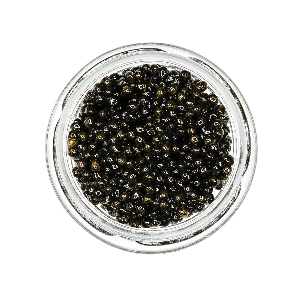 Caviar Star Classic White Sturgeon 1oz