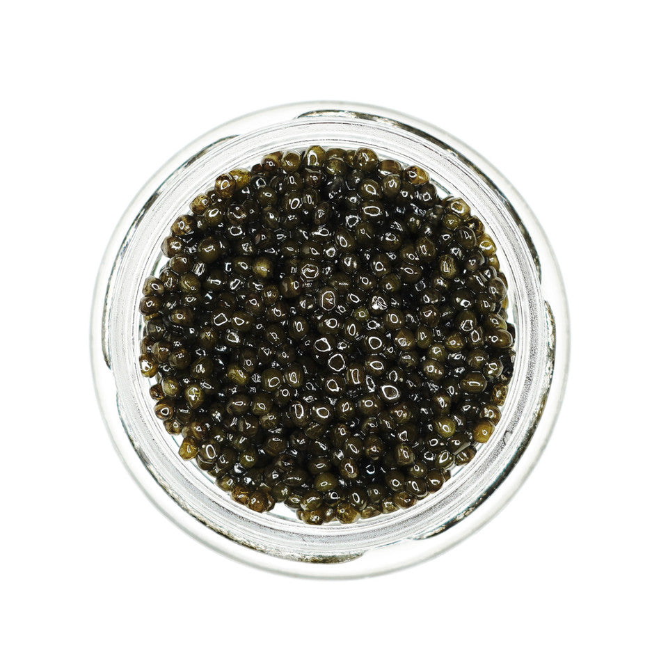 Caviar Star Kaluga Caviar (1oz)