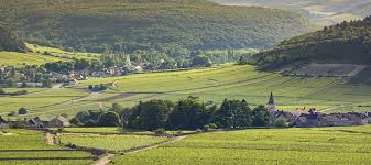 '23 J.M. Bouley Volnay Vieilles Vignes