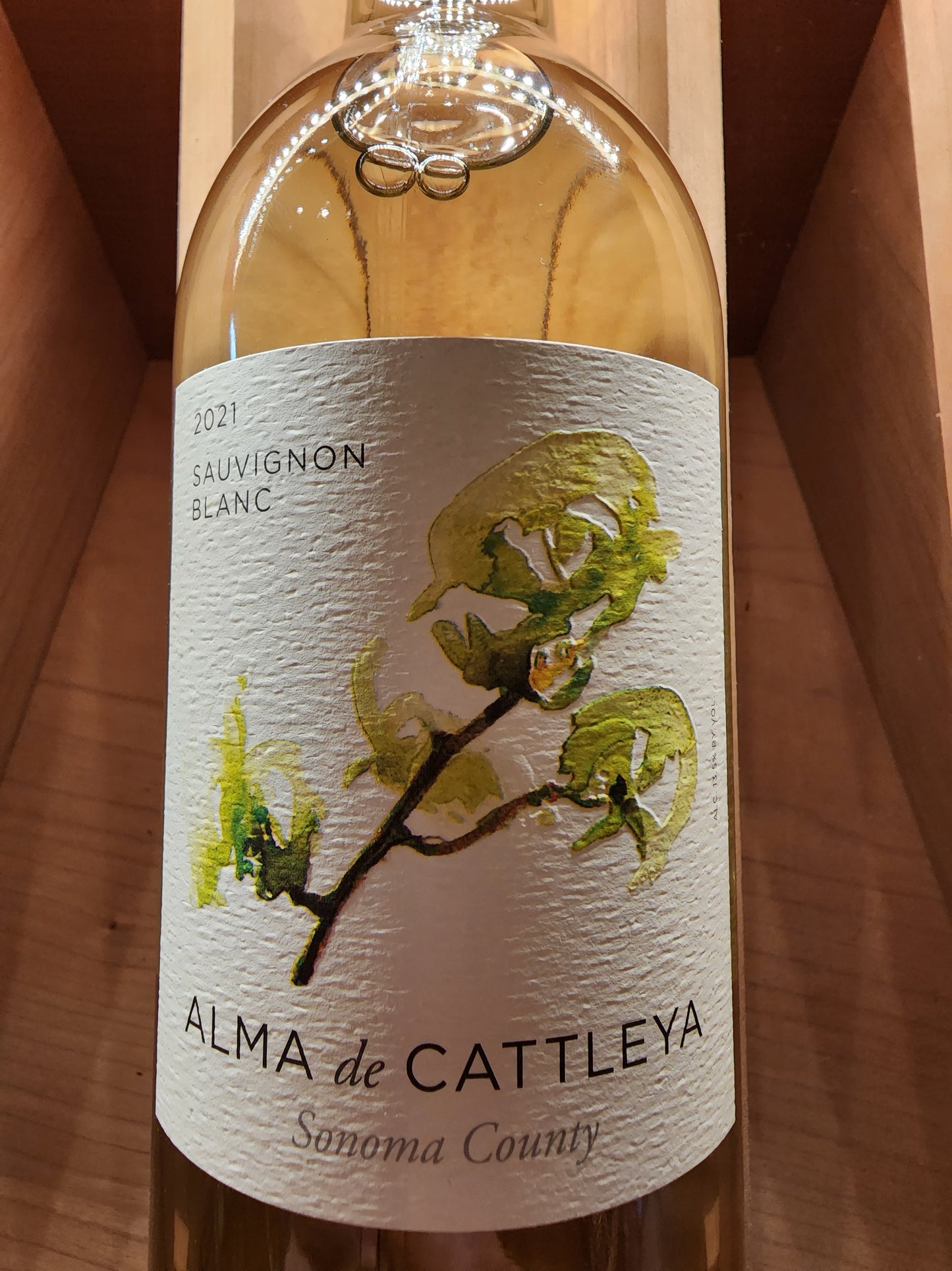 21 Alma Cattleya Sauv Blanc