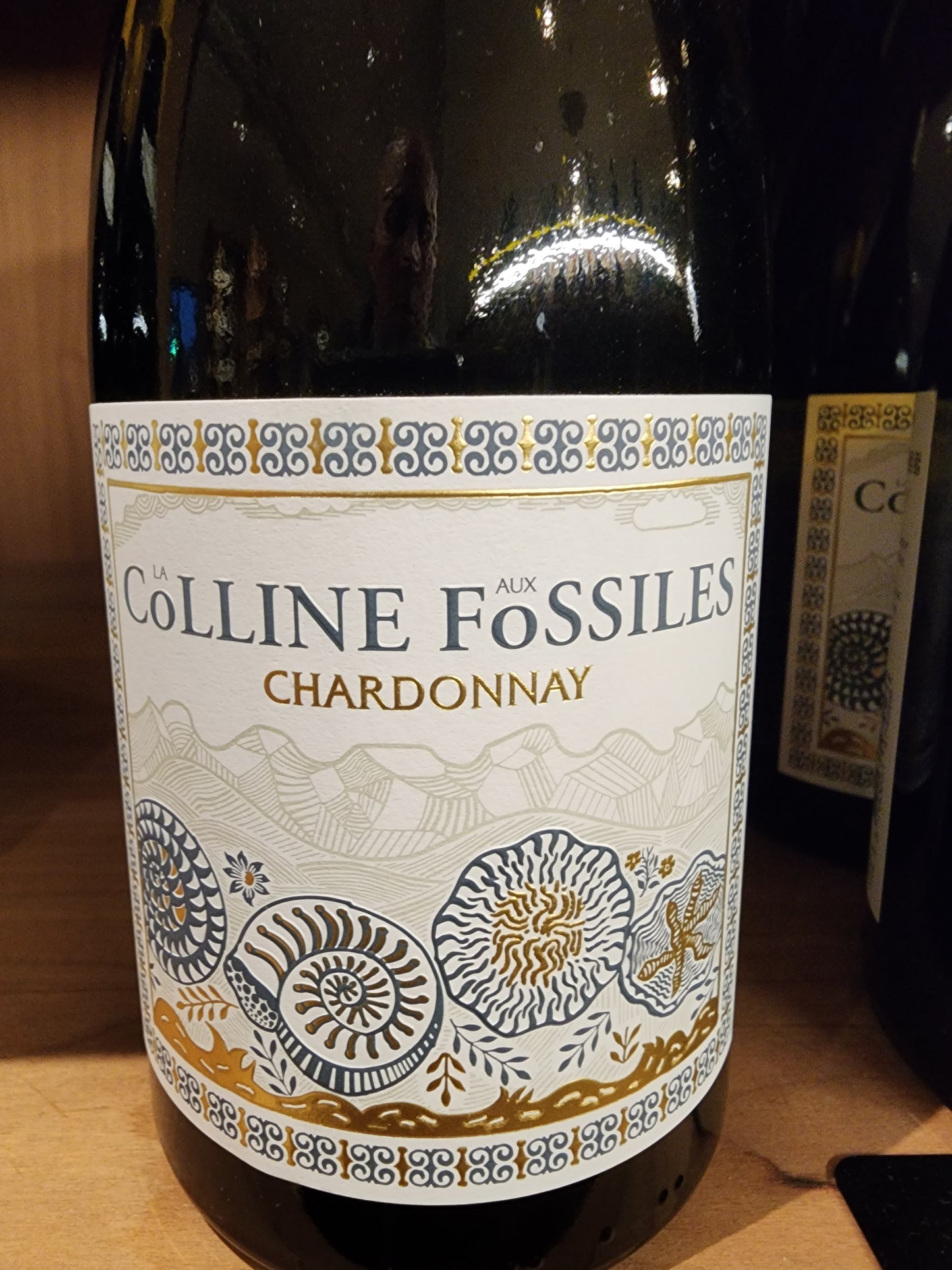 21 La Colline Aux Fossiles Chard