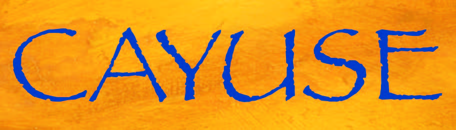 2020 Cayuse Cailloux Syrah